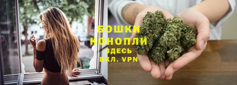 Марихуана THC 21%  купить наркотик  Электрогорск 